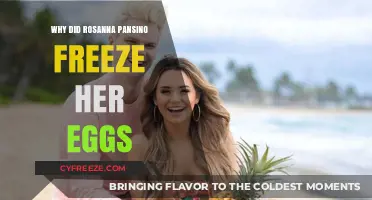 Rosanna Pansino's Decision: Why She Chose to Freeze Her Eggs