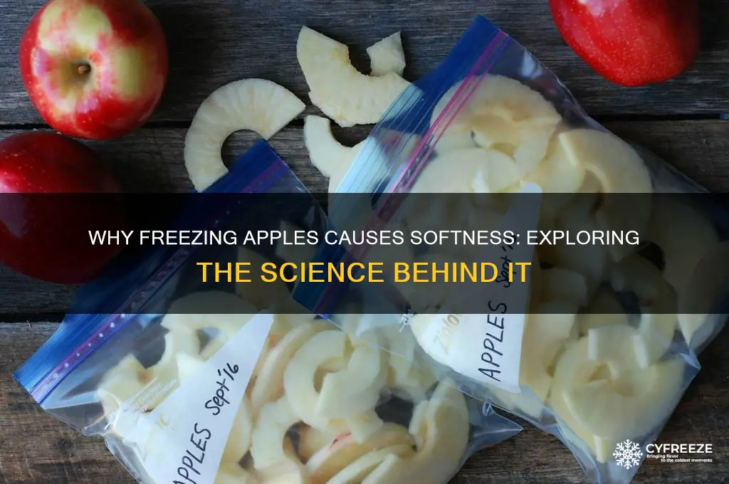 why do apples get soft when you freeze them