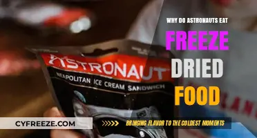 Space Cuisine: The Essential Guide to Freeze-Dried Food for Astronauts
