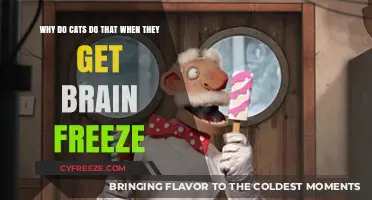 Why Cats React Strangely to Brain Freeze: Unraveling the Mystery