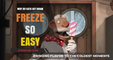 Why Cats Get Brain Freeze So Easily: Unraveling the Mystery