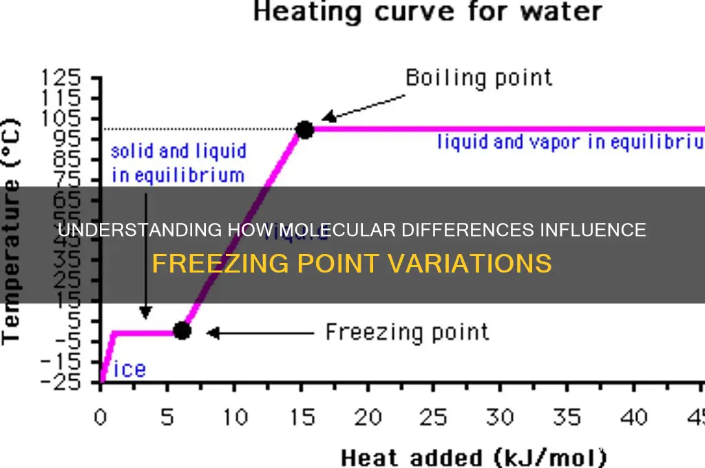 why do different molecules have lower freezing points