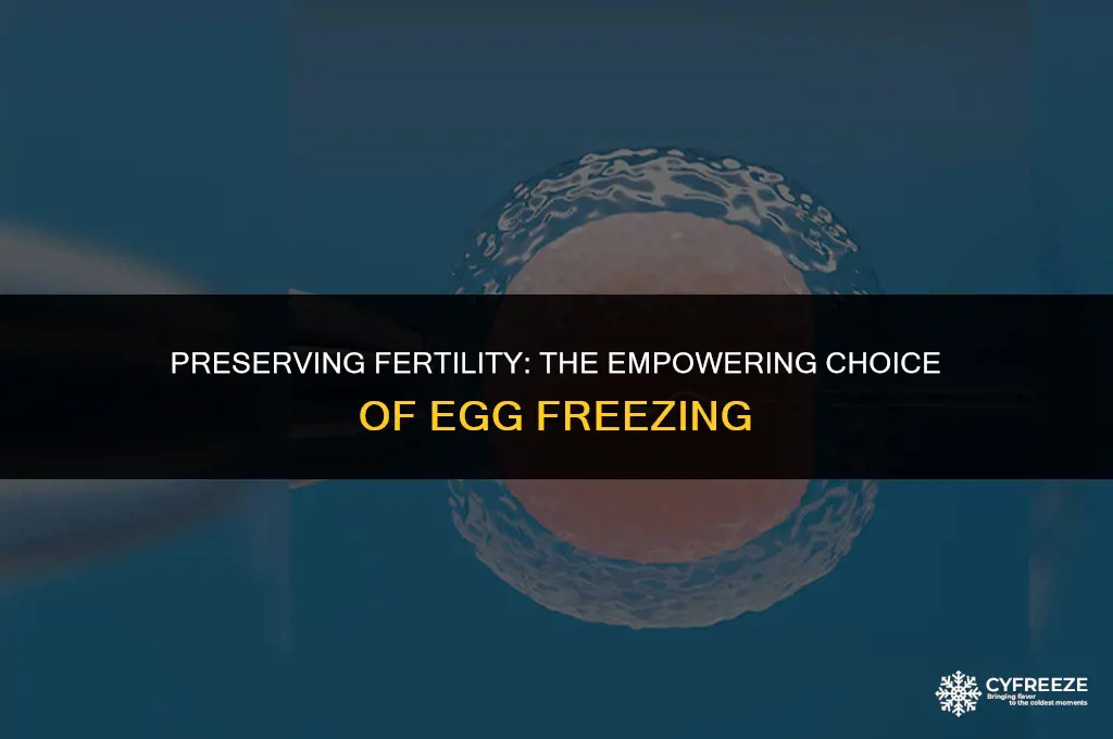 why do egg freezing