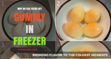 Why Egg Yolks Turn Gummy in the Freezer: Explained