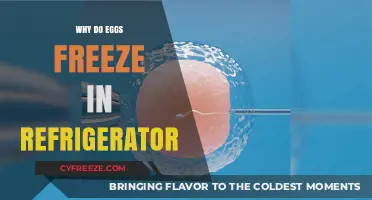 Chilled to Perfection: Understanding Egg Freezing in Your Fridge