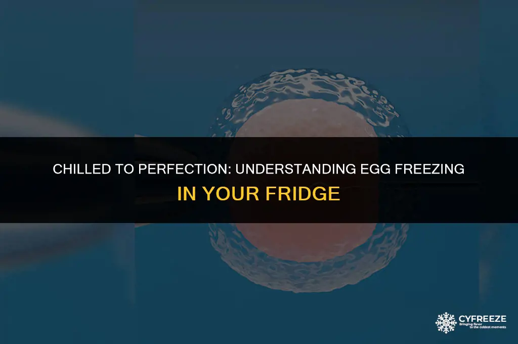 why do eggs freeze in refrigerator