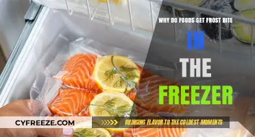 Preventing Freezer Burn: Understanding Why Foods Get Frostbitten in Storage