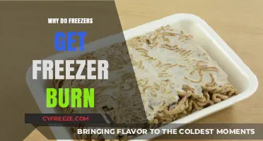 Understanding Freezer Burn: Causes and Prevention Tips for Your Food
