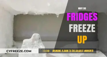 Chill Issues: Understanding Why Your Fridge Freezes Up