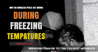 Why Homeless Individuals Turn to Alcohol in Freezing Temperatures