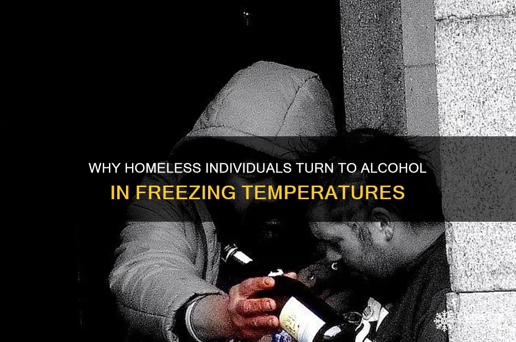 why do homless peole get drunk during freezing tempatures