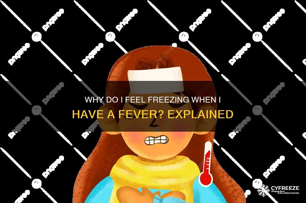 why do i feel freezing when i have the temperature