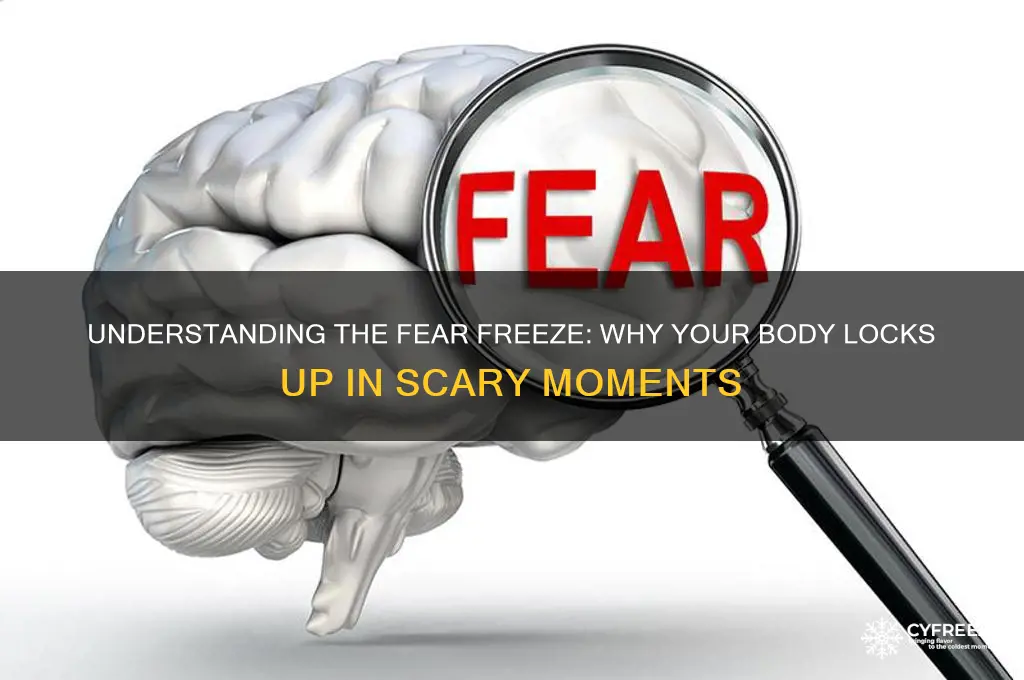 why do i freeze up when i get scared