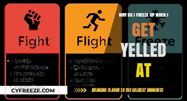 Why Do I Freeze When Yelled At? Understanding Fight or Flight