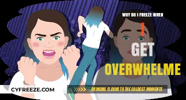 Overwhelmed and Frozen: Understanding the Brain's Response to Stress
