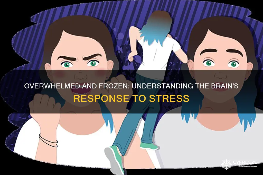 why do i freeze when i get overwhelmed