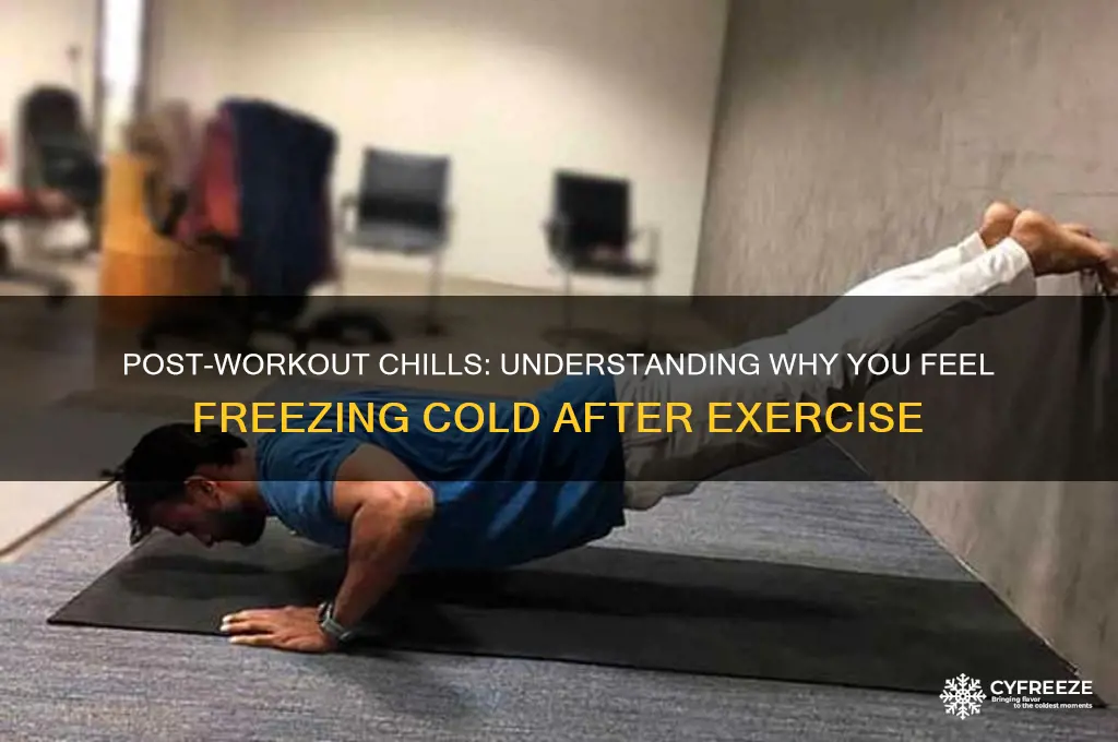 why do i get freezing cold after working out