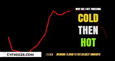 From Chills to Heat: Understanding Sudden Temperature Fluctuations in Your Body
