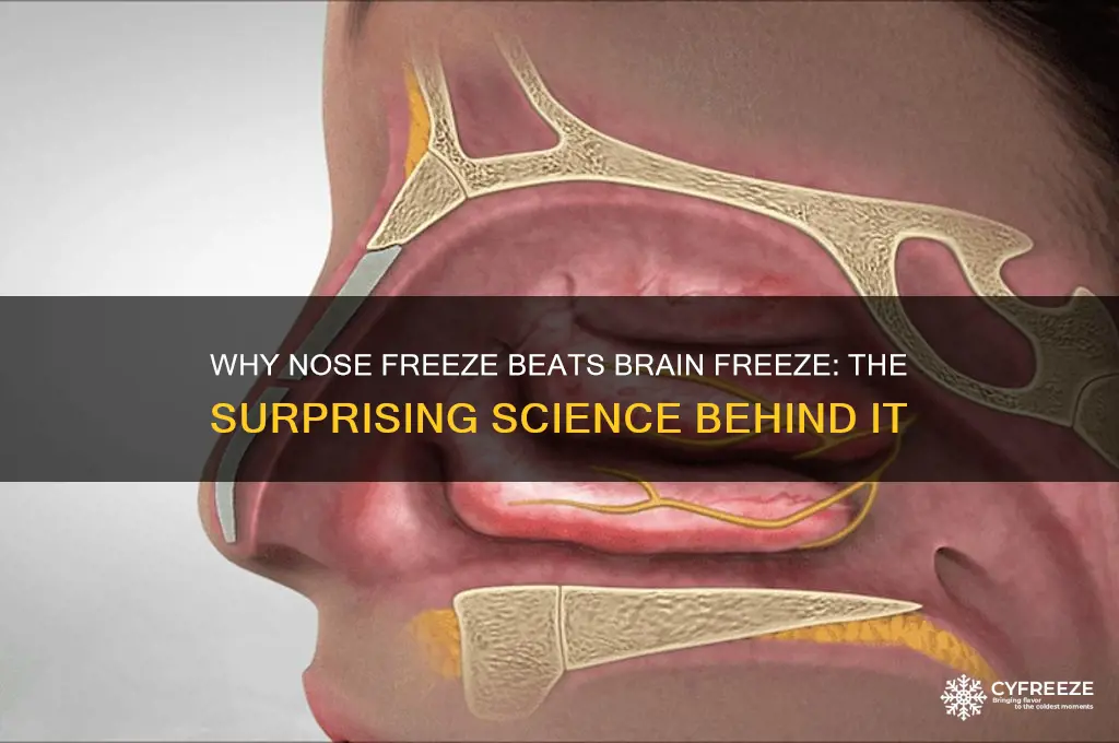 why do i get nose freeze instead of brain freeze