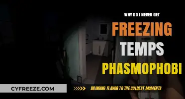 Why Phasmophobia's Freezing Temps Elude Me: Unraveling the Mystery
