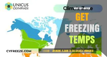 Understanding Why Your Climate Rarely Experiences Freezing Temperatures