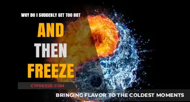 Sudden Hot Flashes to Chills: Understanding Your Body's Temperature Swings