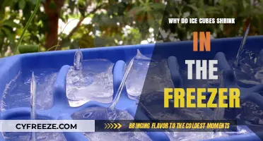 The Shrinking Mystery: Why Ice Cubes Get Smaller in the Freezer