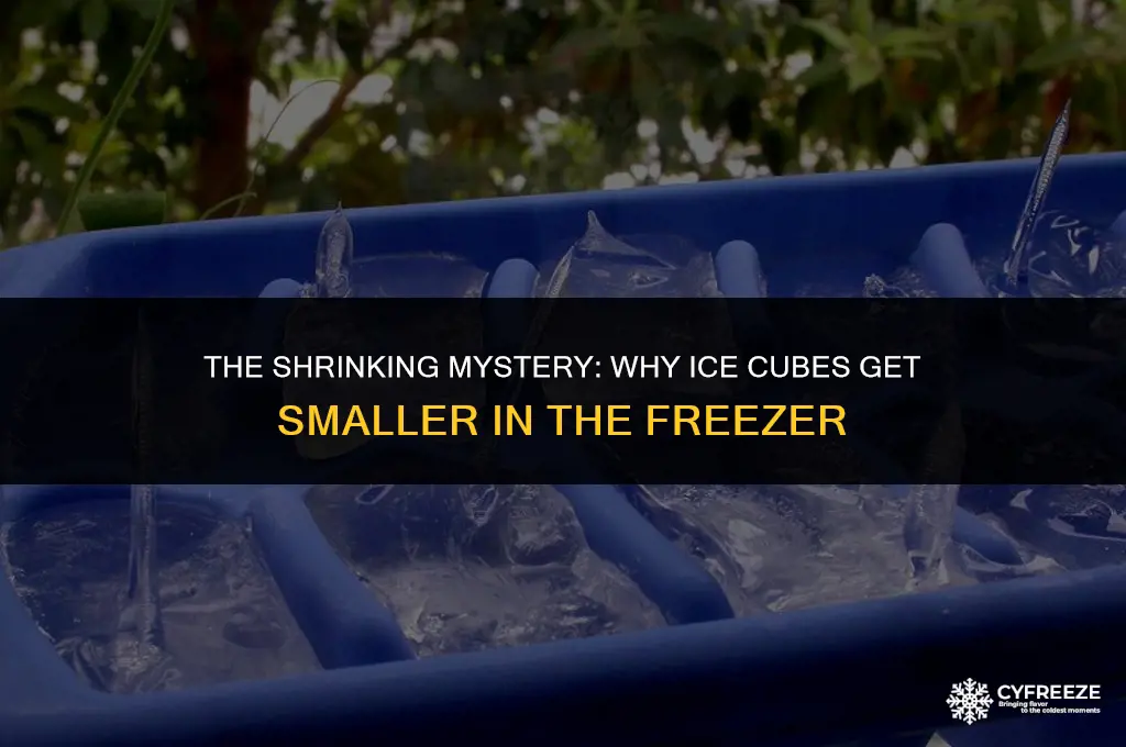 why do ice cubes shrink in the freezer