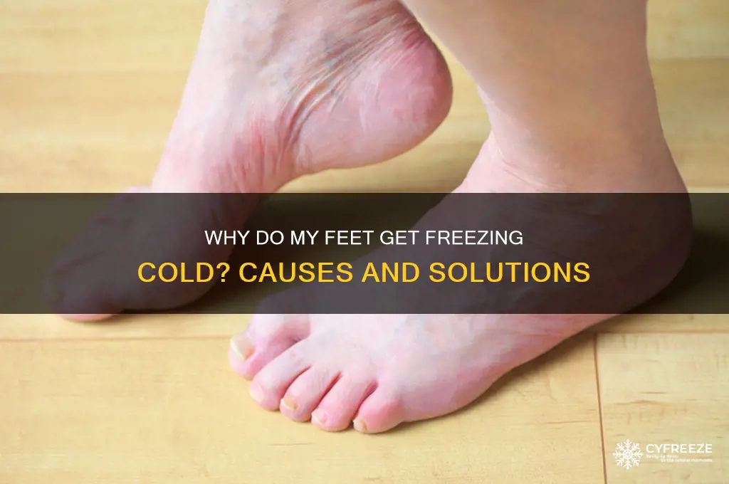 why do my feet get freezing cold