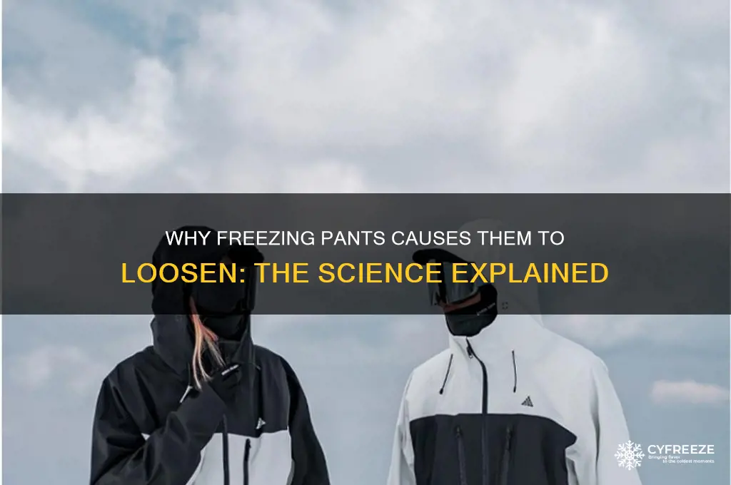 why do my pants get loose when in the freezer