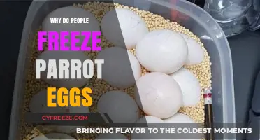 The Curious Case of Frozen Parrot Eggs: Explained