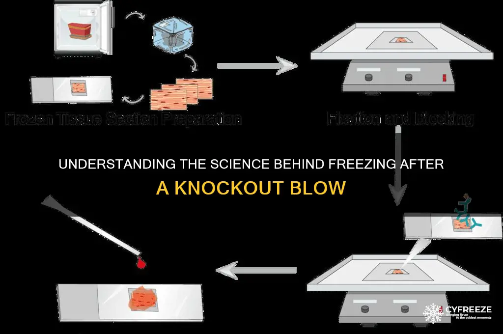 why do people freeze up when they get knocked out