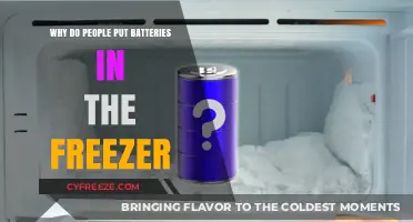 Chilling Myths: The Truth About Freezing Batteries