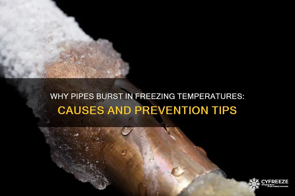 why do pipes burst in freezing temperatures