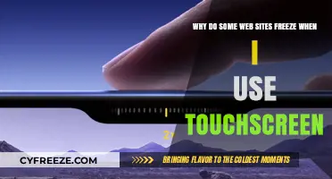 Touchscreen Troubleshooting: Why Some Websites Freeze on Mobile Devices