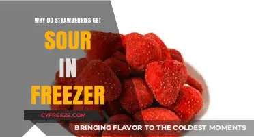 Why Strawberries Turn Sour in the Freezer: Explained
