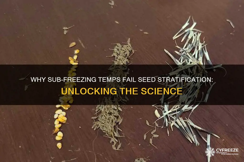 why do temperatures below freezing not work for stratification