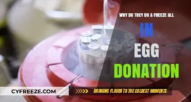 Understanding the Purpose of Freeze-All in Egg Donation: A Comprehensive Guide