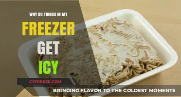 Why Freezer Burn Happens: Understanding Frosty Food Storage Solutions
