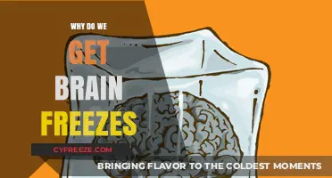 Brain Freeze Explained: The Science Behind the Icy Headache