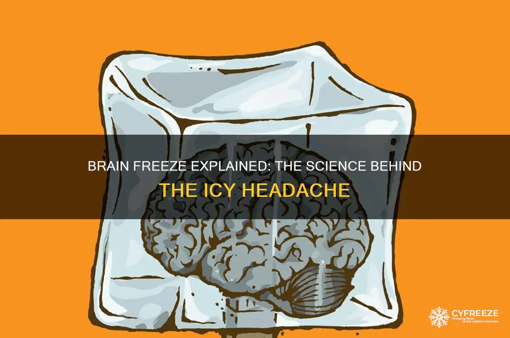 why do we get brain freezes