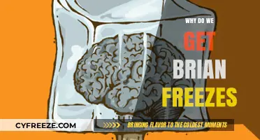 Why Brain Freezes Happen: Unraveling the Science Behind the Chill