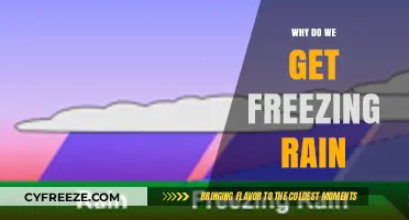 Understanding Freezing Rain: Causes, Formation, and Weather Conditions Explained