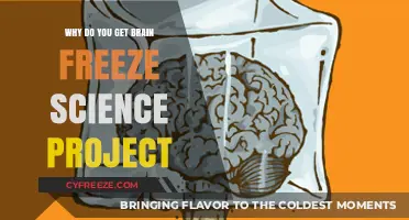 Brain Freeze Unveiled: The Science Behind the Icy Headache