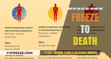 The Chilling Truth: Why Your Body Heats Up Before Freezing