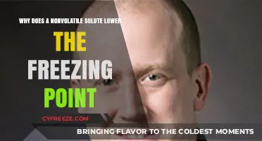 How Nonvolatile Solutes Lower Freezing Points: A Detailed Explanation