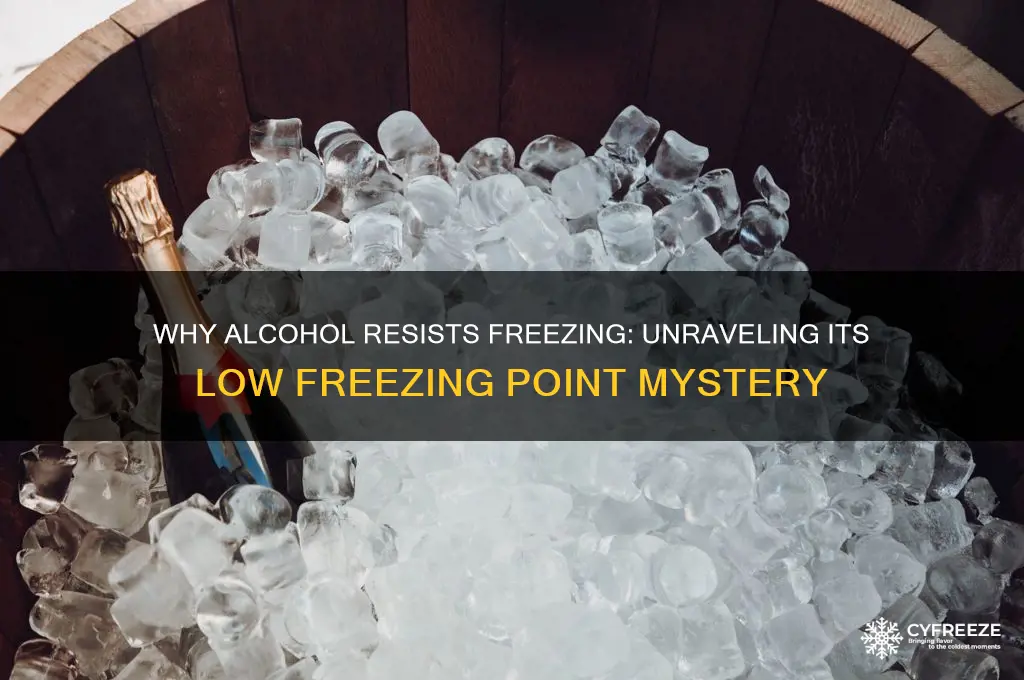why does alcohol have a low freezing point