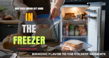 Why Bread Hardens in the Freezer: Science Behind the Crunch