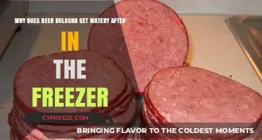 Why Deer Bologna Turns Watery in the Freezer: Explained