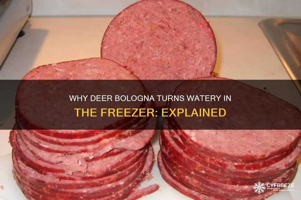 why does deer bologna get watery after in the freezer